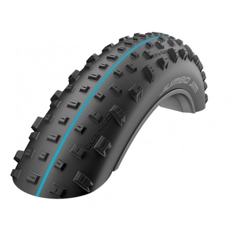 Pneu souple Schwalbe Jumbo Jim HS 466. 26x4.00 100-559noir-LSkin Perf.Addix