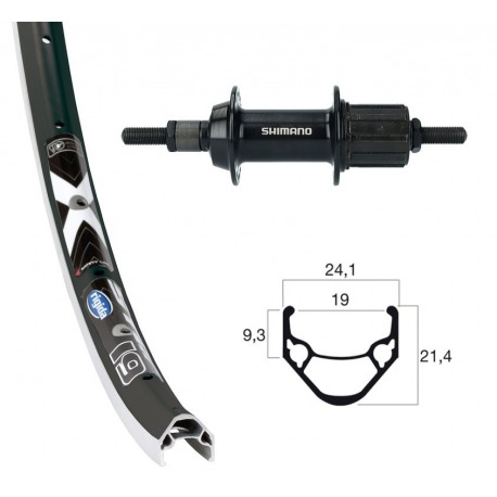 Roue arrière 28x1,75 TY500 7-v nég. fixe 36 trous Rigida X-Star19 ne/rayons argentés Niro(ne)
