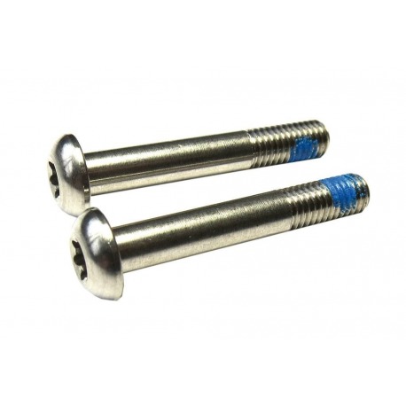 Boulons Sram par ex. adapter. frein à disque FMC 00.5318.005.003 titane 2 pcs. T25 15mm