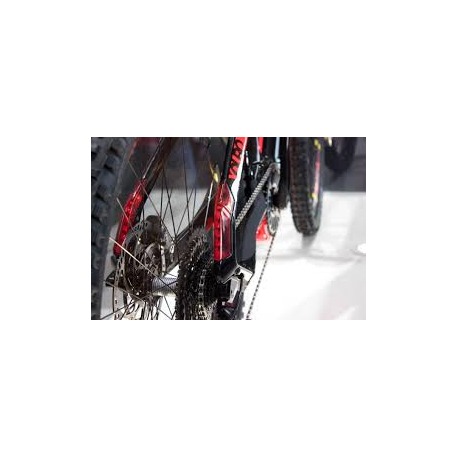 Ensemble de feux arrière doubles Haibike FLYON (TTL)