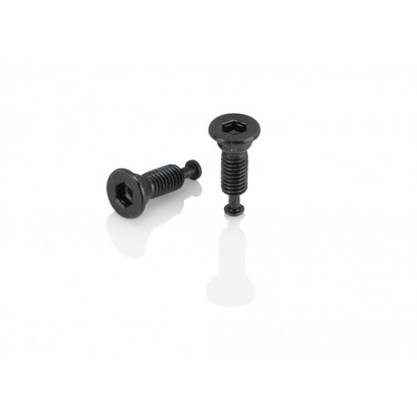 Vis XLC pour adaptateur Flat Mount M5x8mm, tête cylindrique, 2 par jeu