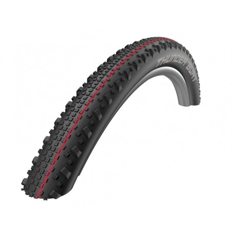 Schwalbe ThunderBurt HS451 SR pl. 29x2.10"54-622ne/tr-Skin EvoTLE AdxSpeed
