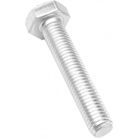 Vis pour support M10X65 F 5 Esge