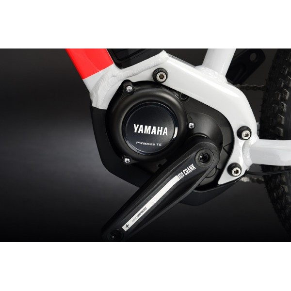 Vélo électrique pour enfants Haibike SDURO Hardfour 9G 2021 Vélo électrique pour enfants Haibike SDURO Hardfour 9G 2021