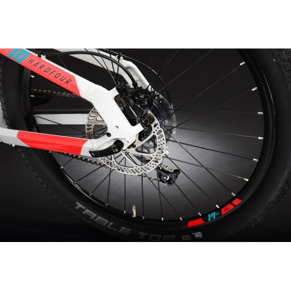 Vélo électrique pour enfants Haibike SDURO Hardfour 9G 2021 Vélo électrique pour enfants Haibike SDURO Hardfour 9G 2021