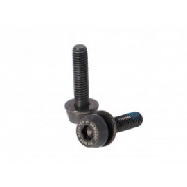 Vis Campagnolo H11 (frein à disque) AC18-DBSC24.2x24mm pour 15-19mm arrière