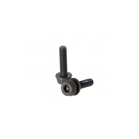 Vis Campagnolo H11 (frein à disque) AC18-DBSC34.2x34mm pour 25-29mm arrière