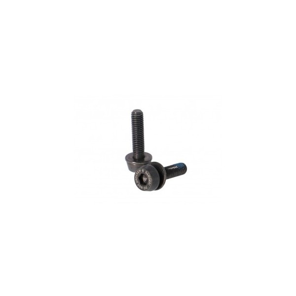 Vis Campagnolo H11 (frein à disque) AC18-DBSC34.2x34mm pour 25-29mm arrière