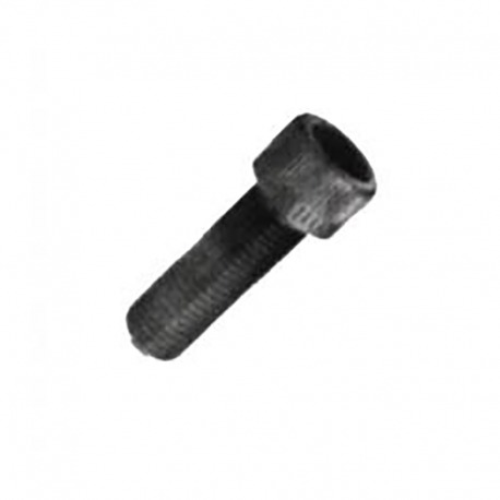 VIS HEXAGONALE INTÉRIEURE M6x10 NIRO (10 UNITÉS)