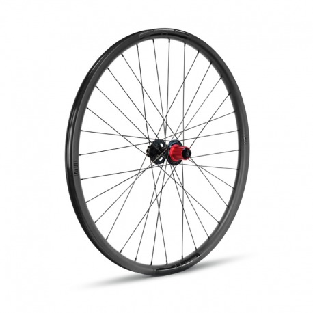 ROUE TR.GURPIL CARB.GTR 29 6 VIS SHIM.BOOST