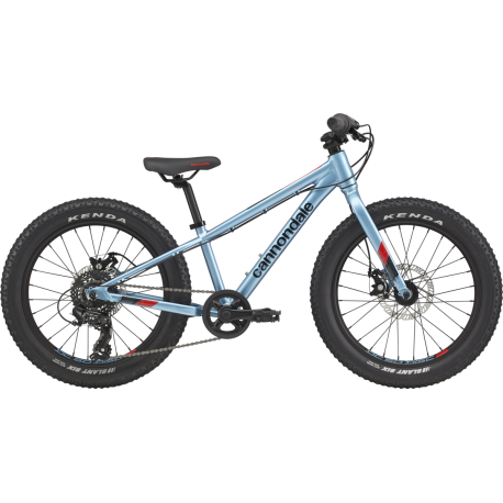 Vélo pour enfants Cannondale Kids Cujo 20+" 2021