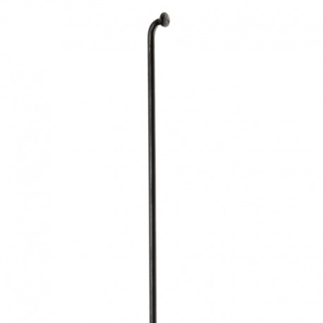 BOITE 100 RAYONS DT CHAMPION NOIR 263 x 2