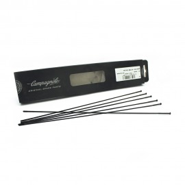 KIT MINI RAYONS BORA ULTRA 50