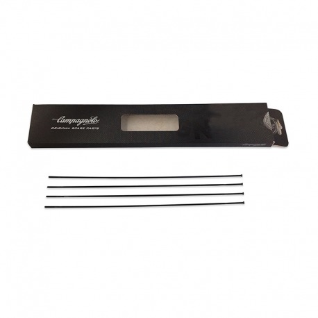 4 BRANCHES CAMPAGNOLO G KHAMSIN G3 AVANT