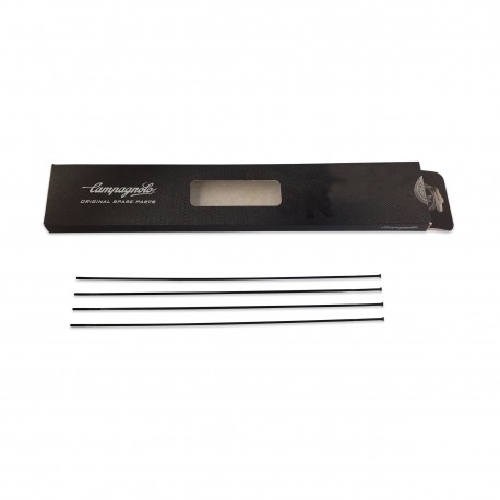 4 BRANCHES CAMPAGNOLO G ZONDA ARRIERE GAUCHE