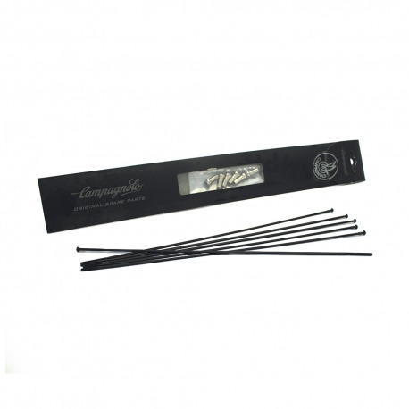 KIT 80 RAYONS MINI BULLET