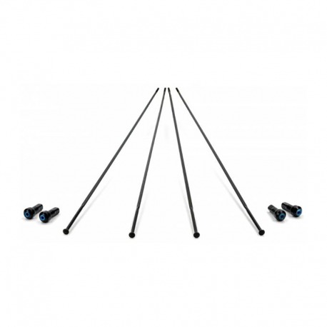 4 BRANCHES CAMPAGNOLO BORA ONE 35 DISQUE ARRIERE GAUCHE