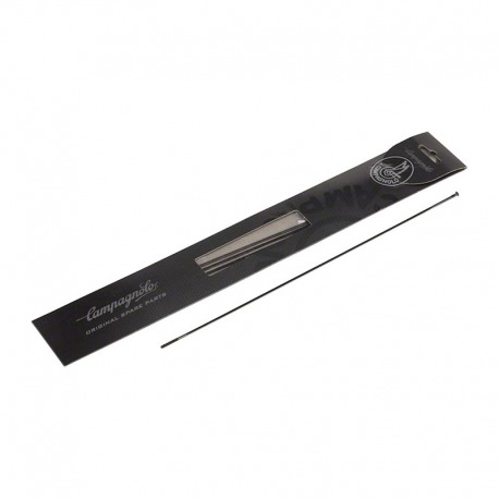 4 BRANCHES CAMPAGNOLO WTO 60 DISQUE AVANT DROIT