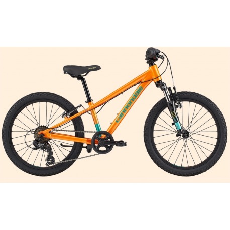 Vélo pour enfants Cannondale Kids Trail 20 po