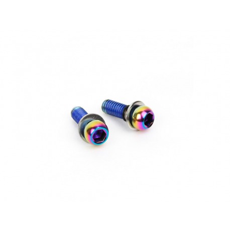 VIS SRAM POUR ADAPTATEURS RAINBOW DISC (2 UNITÉS)