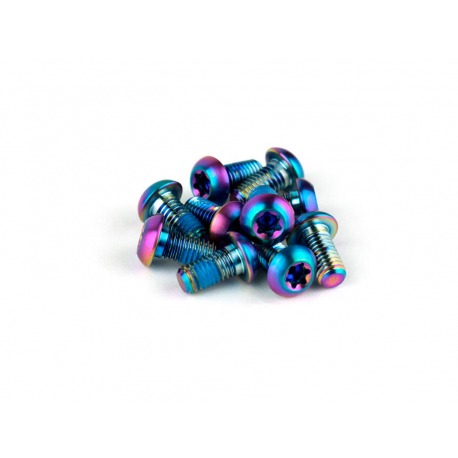 KIT VIS DE DISQUE EN TITANE SRAM RAINBOW (12 UNITÉS)