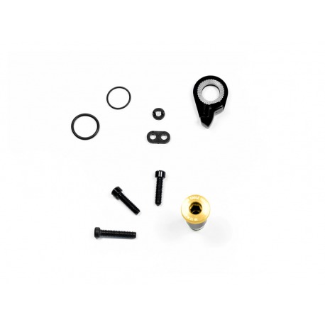VIS DE DERAILLEUR SRAM REC XX1 EAGLE GOLD