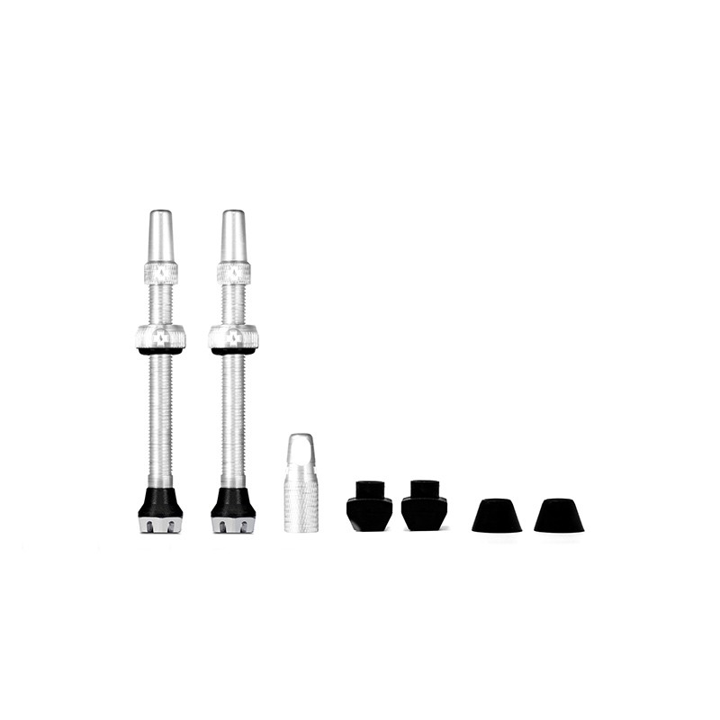 VALVE SET MUC-OFF V2 TUBELESS 60mm ARGENT